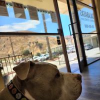 Calabasas Animal Clinic & Holistic Veterinary Center ico