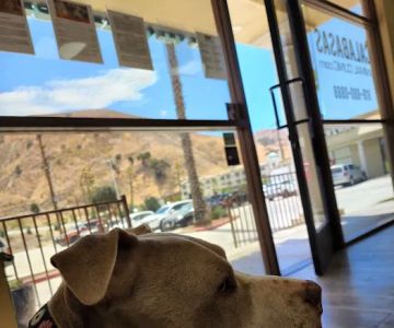 Calabasas Animal Clinic & Holistic Veterinary Center