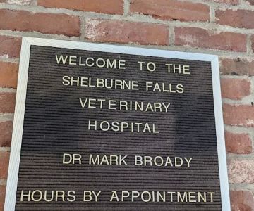 Shelburne Falls Vet Hospital