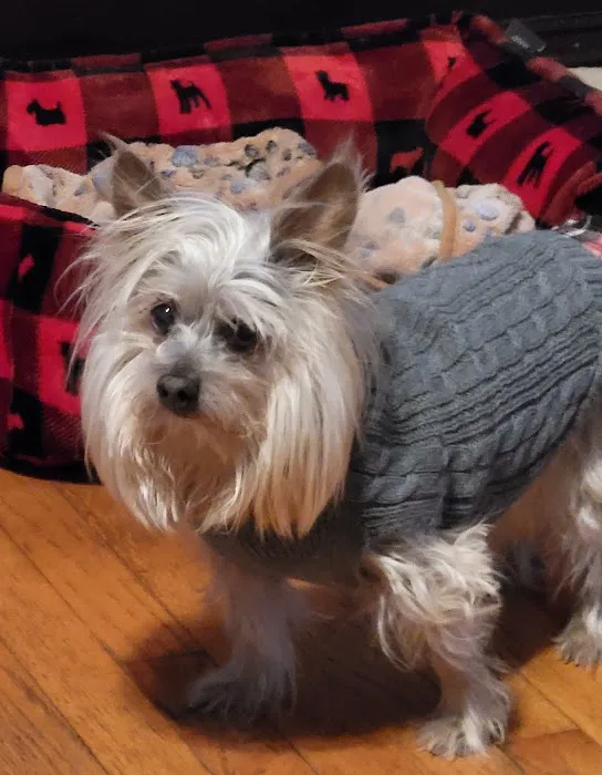 Sturbridge Veterinary Hospital 9
