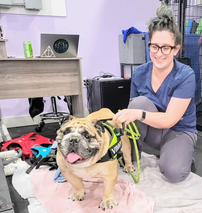Veterinary Specialty Center of Sturbridge 10