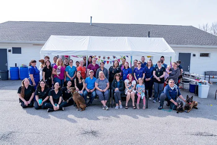 Veterinary Specialty Center of Sturbridge 4