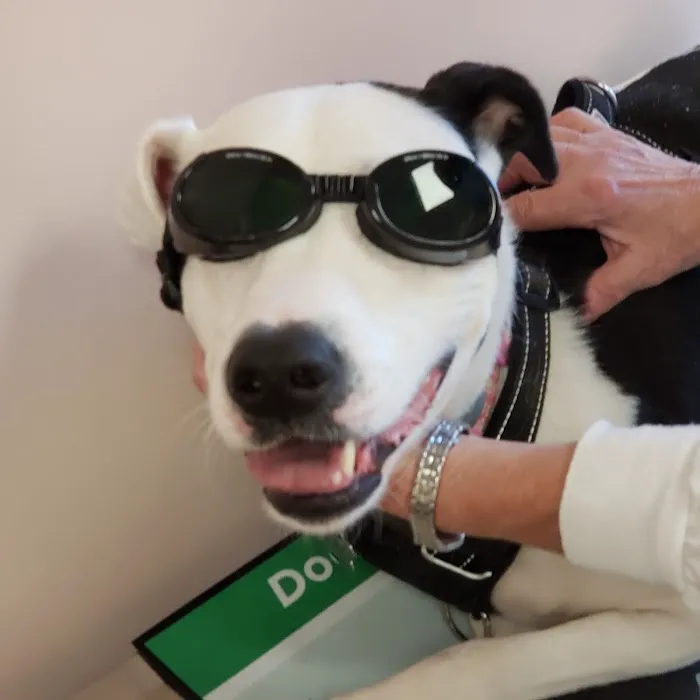 Hilltop Animal Clinic 10