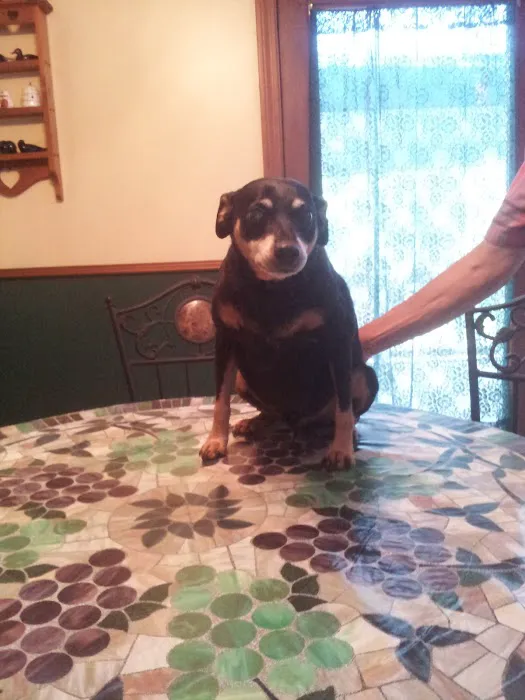 Hilltop Animal Clinic 9