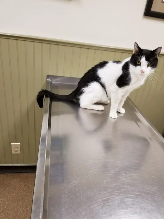 Post Road Veterinary Hospital 2