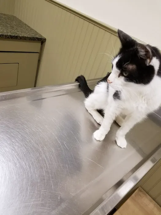 Post Road Veterinary Hospital 6