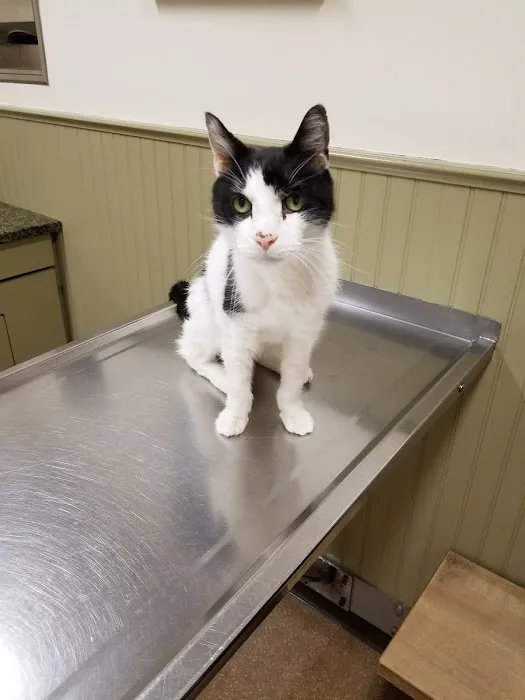 Post Road Veterinary Hospital 5
