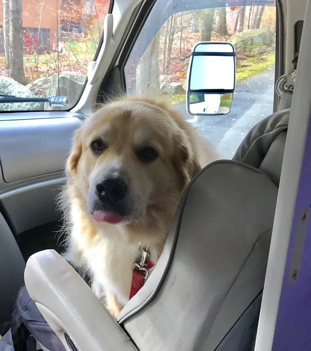 Baystate Mobile Veterinary Services 9