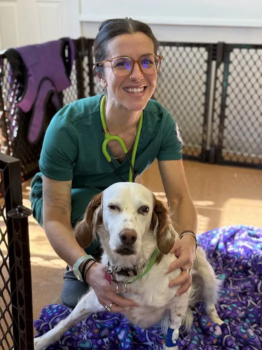 Baystate Mobile Veterinary Services 7