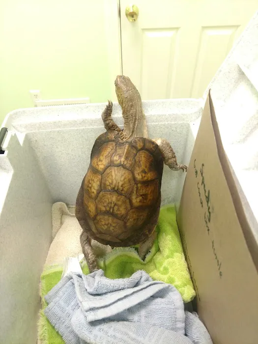Southbridge Veterinary Hospital 7