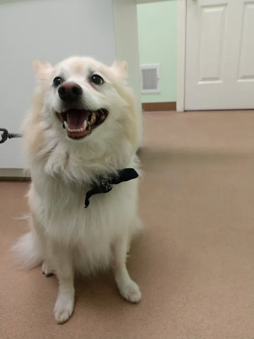 Southbridge Veterinary Hospital 3