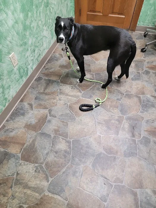 Paxton Animal Hospital 4