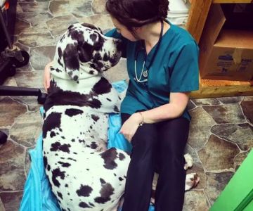 Paxton Animal Hospital