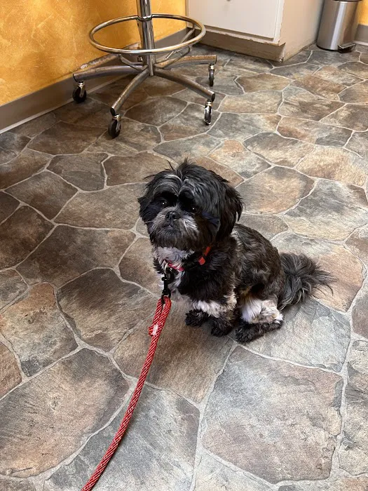 Paxton Animal Hospital 3