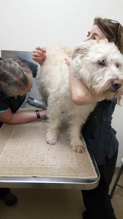 Westside Animal Clinic, A Thrive Pet Healthcare Partner 8