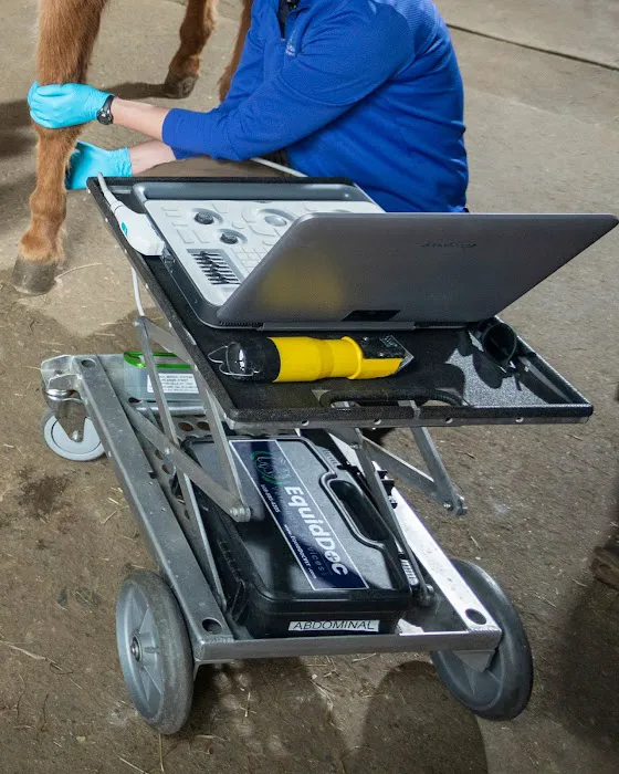 Equine Veterinary Services | EquidDoc Veterinary Services, LLC 2