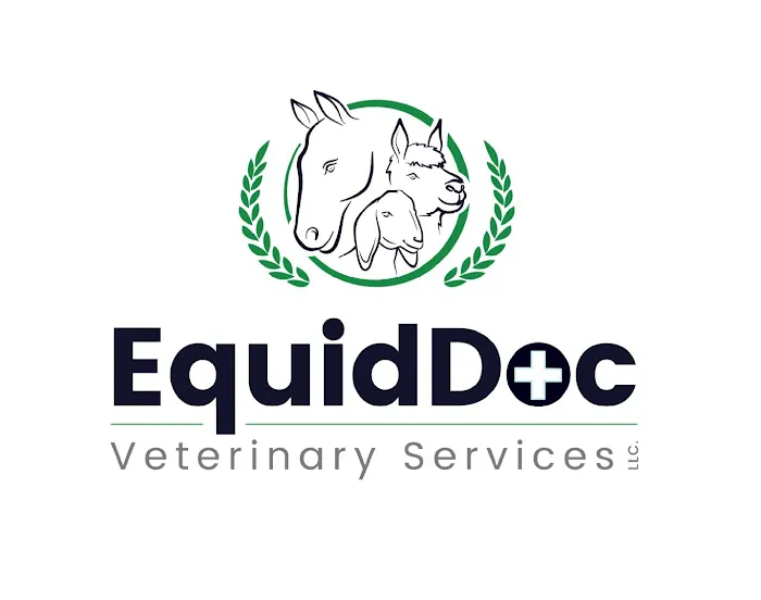 Equine Veterinary Services | EquidDoc Veterinary Services, LLC 4
