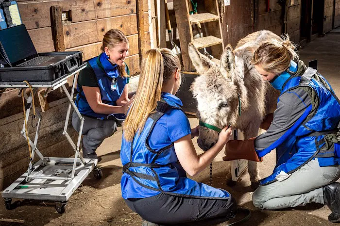 Equine Veterinary Services | EquidDoc Veterinary Services, LLC 1
