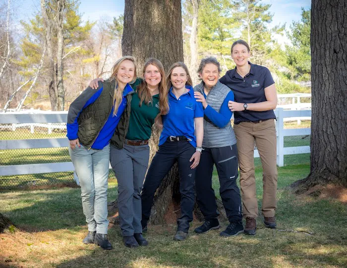 Equine Veterinary Services | EquidDoc Veterinary Services, LLC 5