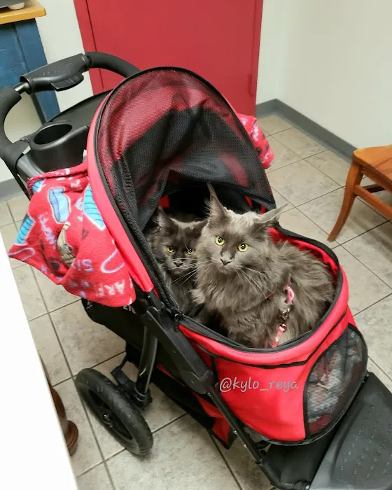 VCA Auburn Animal Hospital 9