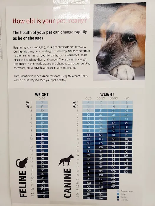 VCA Auburn Animal Hospital 8