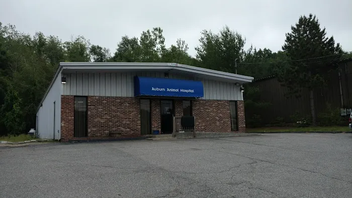 VCA Auburn Animal Hospital 5
