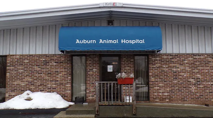 VCA Auburn Animal Hospital 4