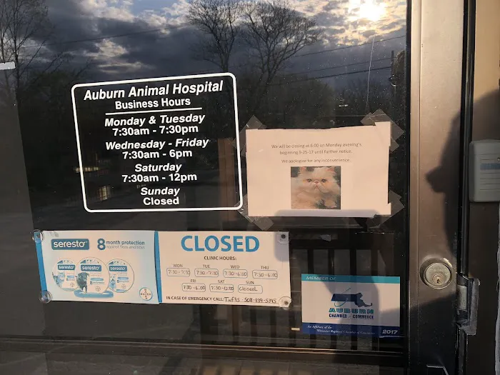 VCA Auburn Animal Hospital 10