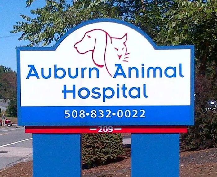 VCA Auburn Animal Hospital 2