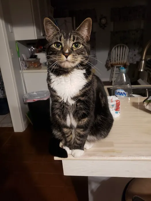Second Chance Community Veterinary Hospital of Worcester 4