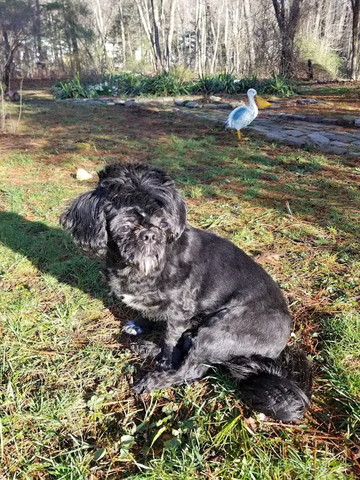Second Chance Community Veterinary Hospital of Worcester 5