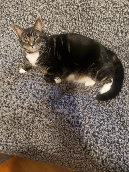 Second Chance Community Veterinary Hospital of Worcester 6
