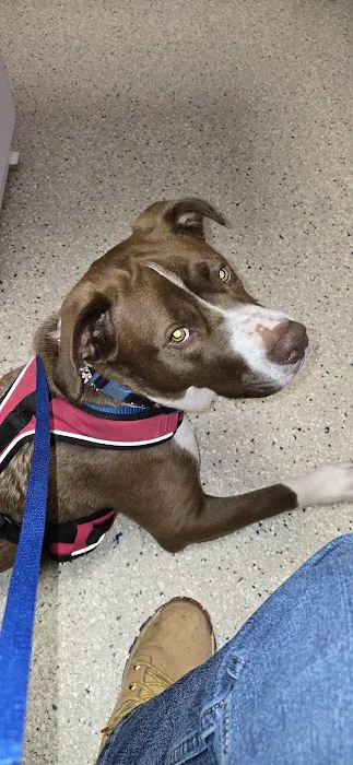 Second Chance Community Veterinary Hospital of Worcester 2