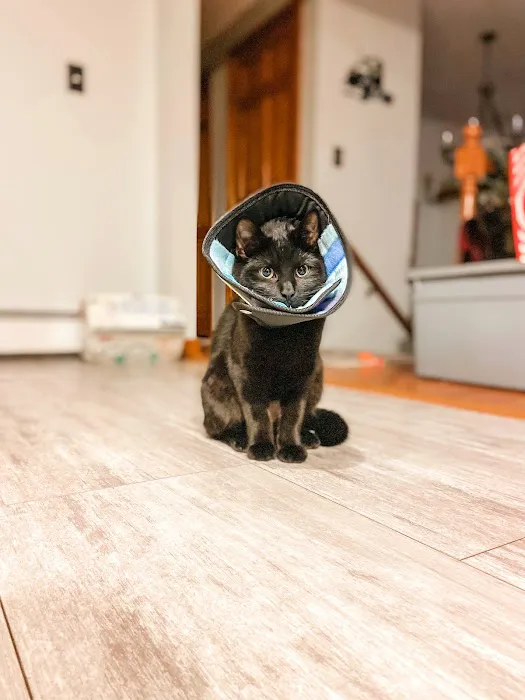 Second Chance Community Veterinary Hospital of Worcester 10