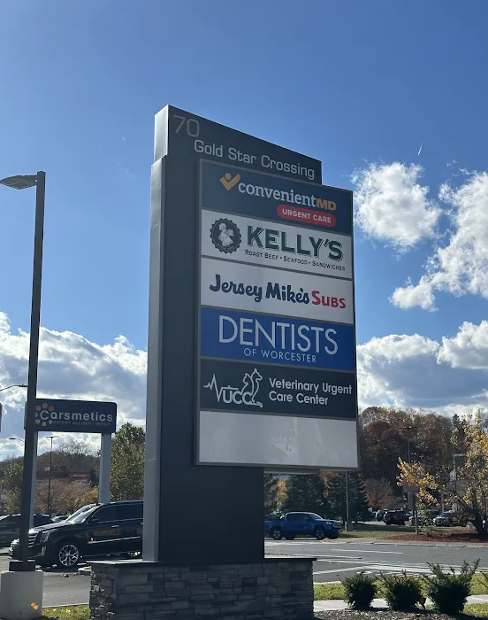 Veterinary Urgent Care Center - Worcester 9