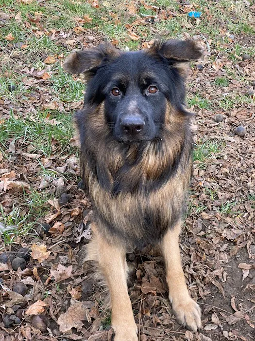 Veterinary Urgent Care Center - Worcester 5