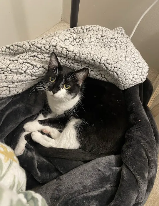 Veterinary Urgent Care Center - Worcester 2