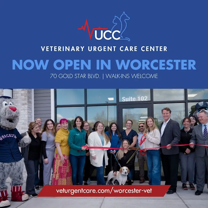 Veterinary Urgent Care Center - Worcester 6