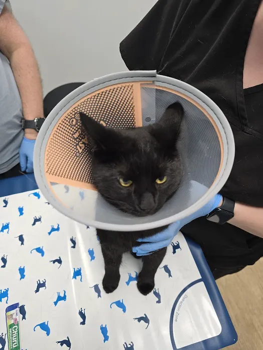 Veterinary Urgent Care Center - Worcester 8