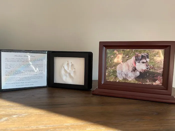 Holden Veterinary Clinic, A Thrive Pet Healthcare Partner 3