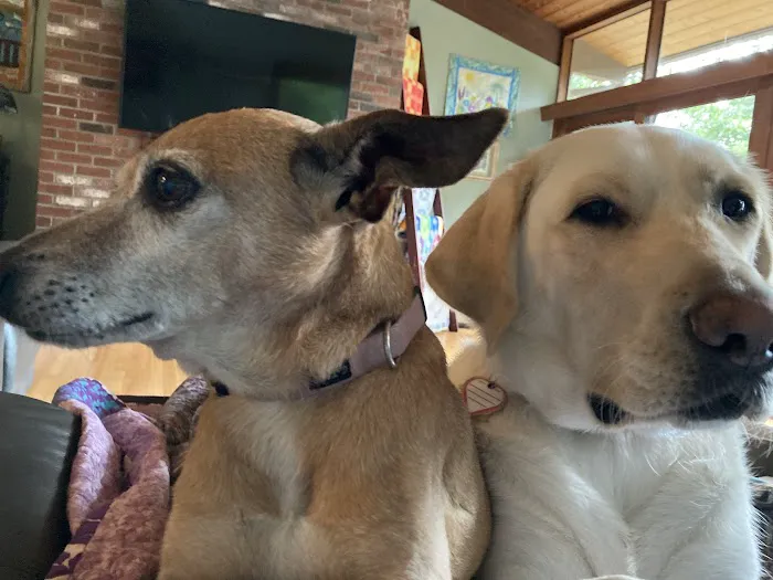 Hubbardston Veterinary Clinic 9