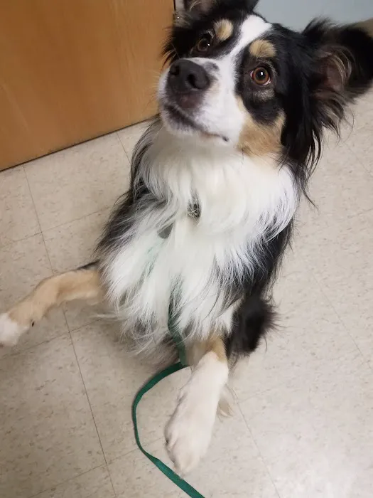 Hubbardston Veterinary Clinic 6