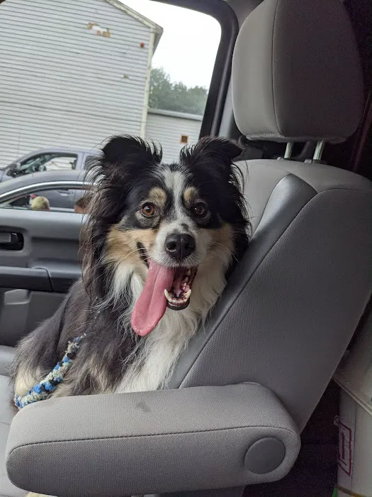 Hubbardston Veterinary Clinic 3