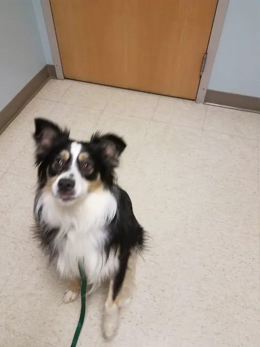 Hubbardston Veterinary Clinic 2
