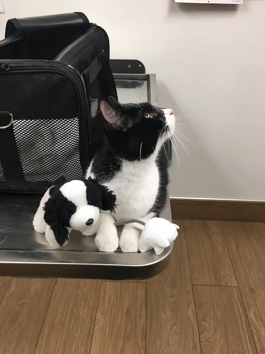 VCA Abbott Animal Hospital 1