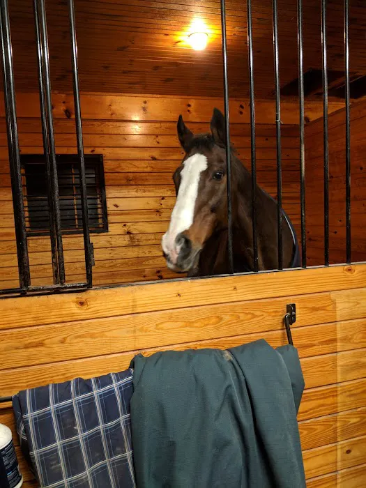 Upstate Equine Medical Center 1