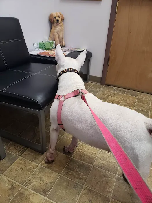 Saint Francis Veterinary Hospital PLLC 2