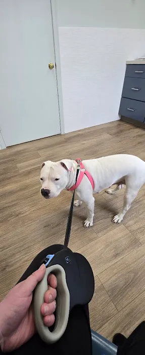 Sutton Animal Hospital 1