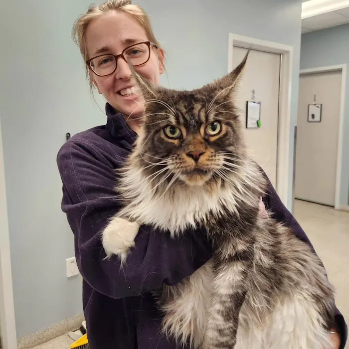 Uxbridge Animal Hospital 5