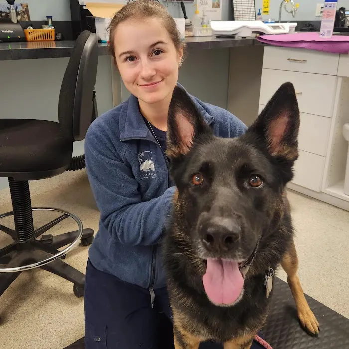 Uxbridge Animal Hospital 10
